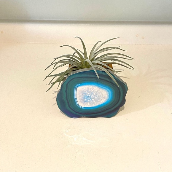 Home decor with artificial plant - Picture 3 of 5